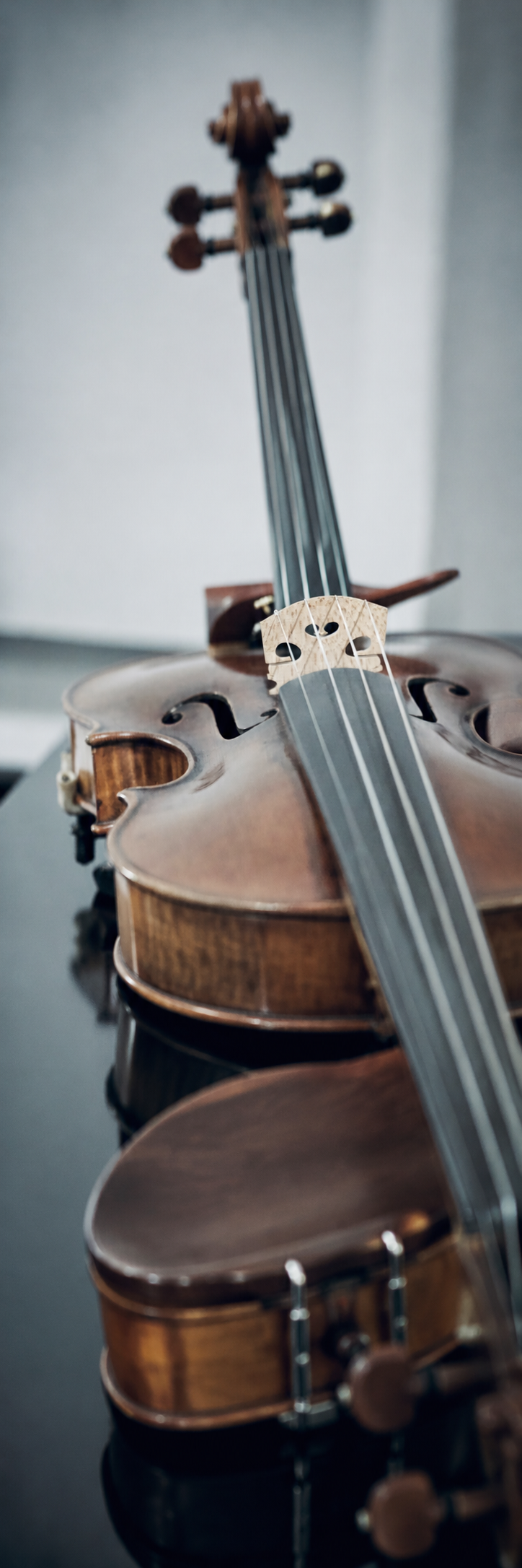 Detail einer Violine