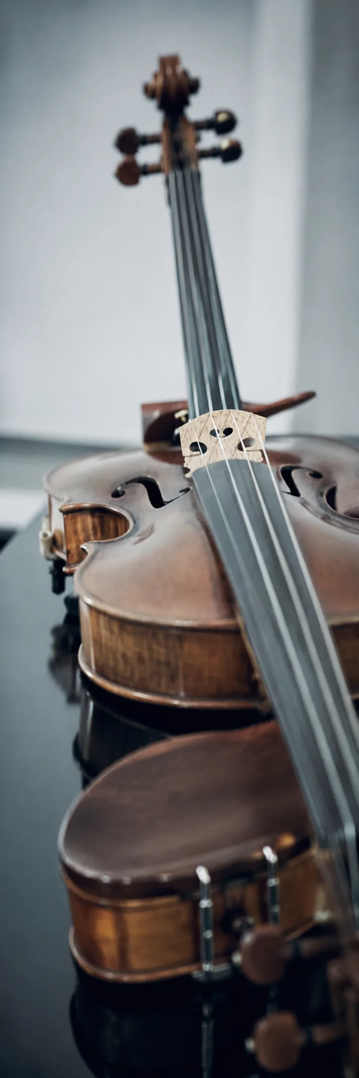 Detail einer Violine