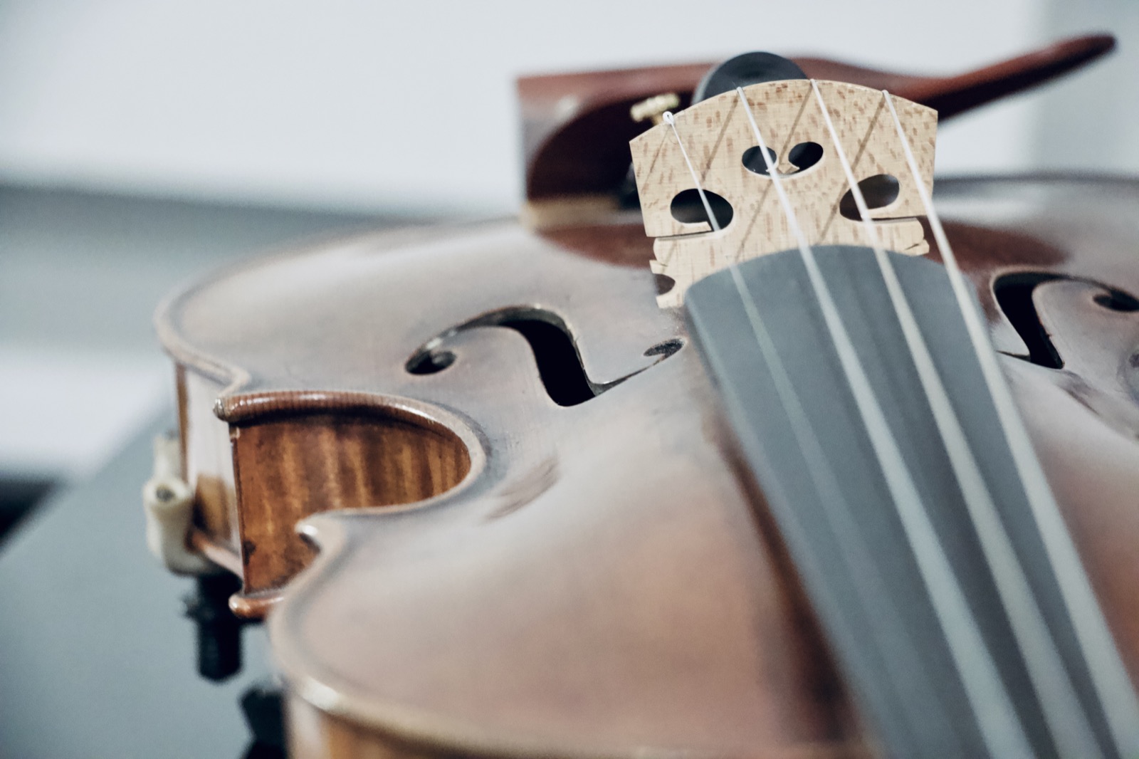 Violin detail